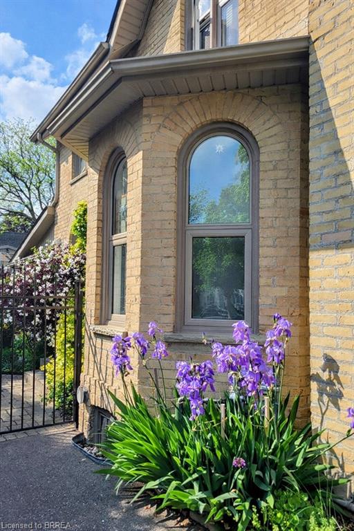 11 Chestnut Avenue Property Photo 49
