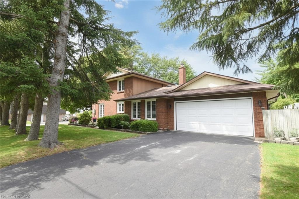 24 Shaw Street Property Photo 1
