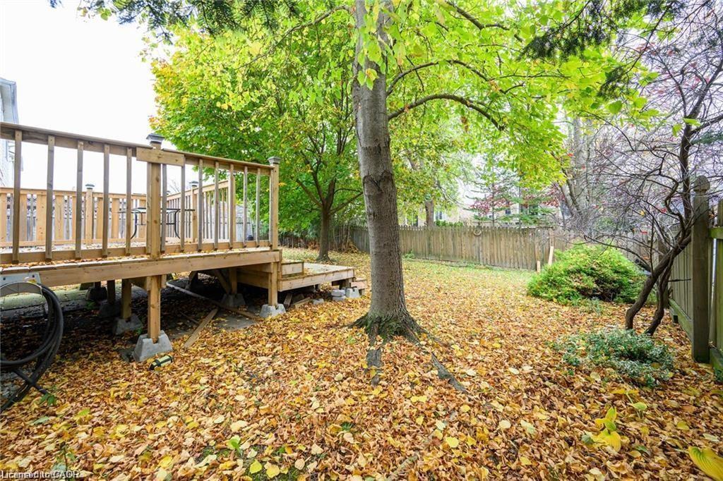 8 Buss Court Property Photo 41