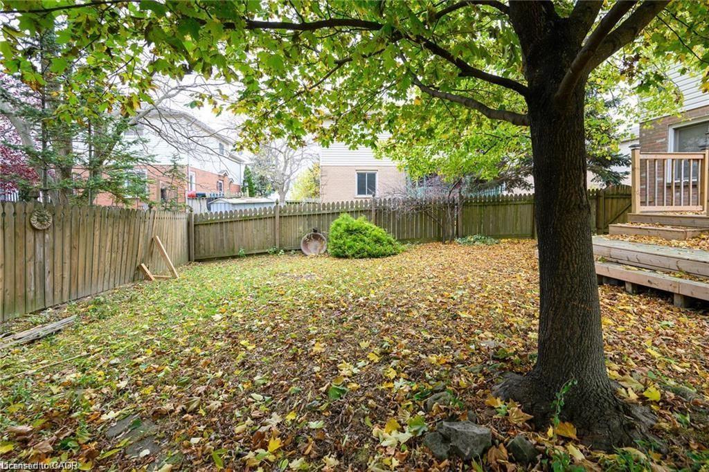 8 Buss Court Property Photo 42