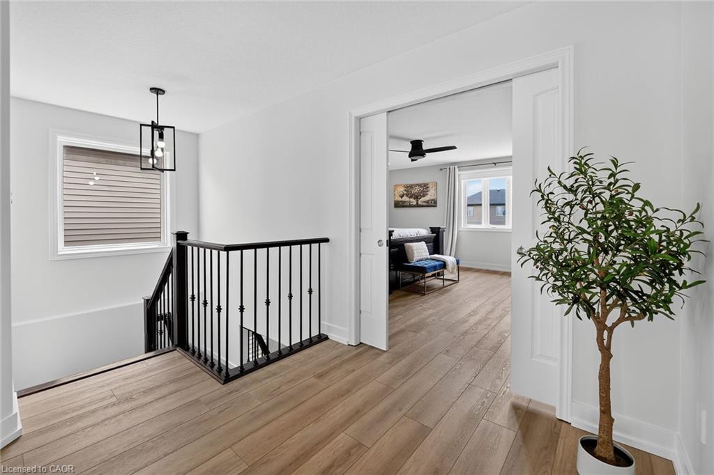 387 Murray Street Property Photo 19