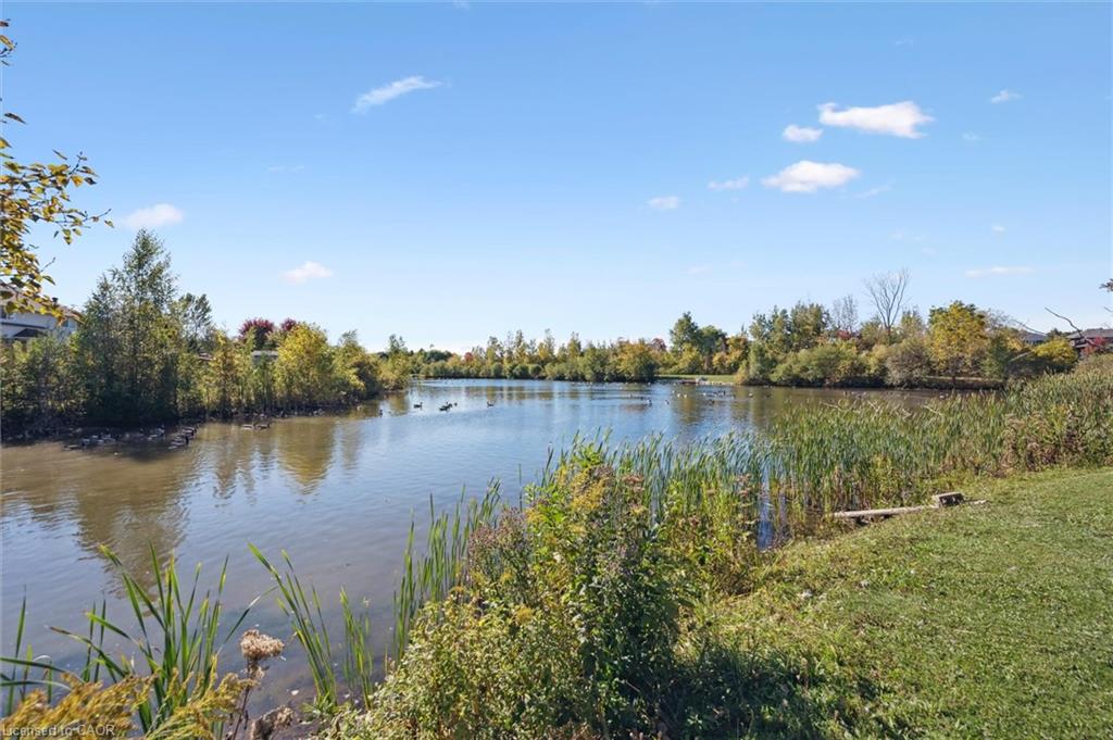 568 Black Street Property Photo 37