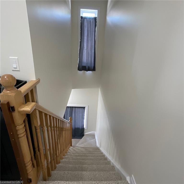 118-77 Diana Avenue Property Photo 15
