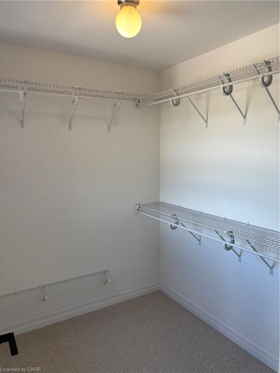 102 Gort Avenue Property Photo 11
