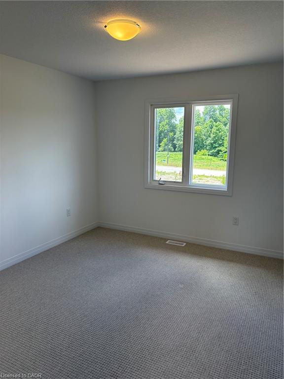 102 Gort Avenue Property Photo 14