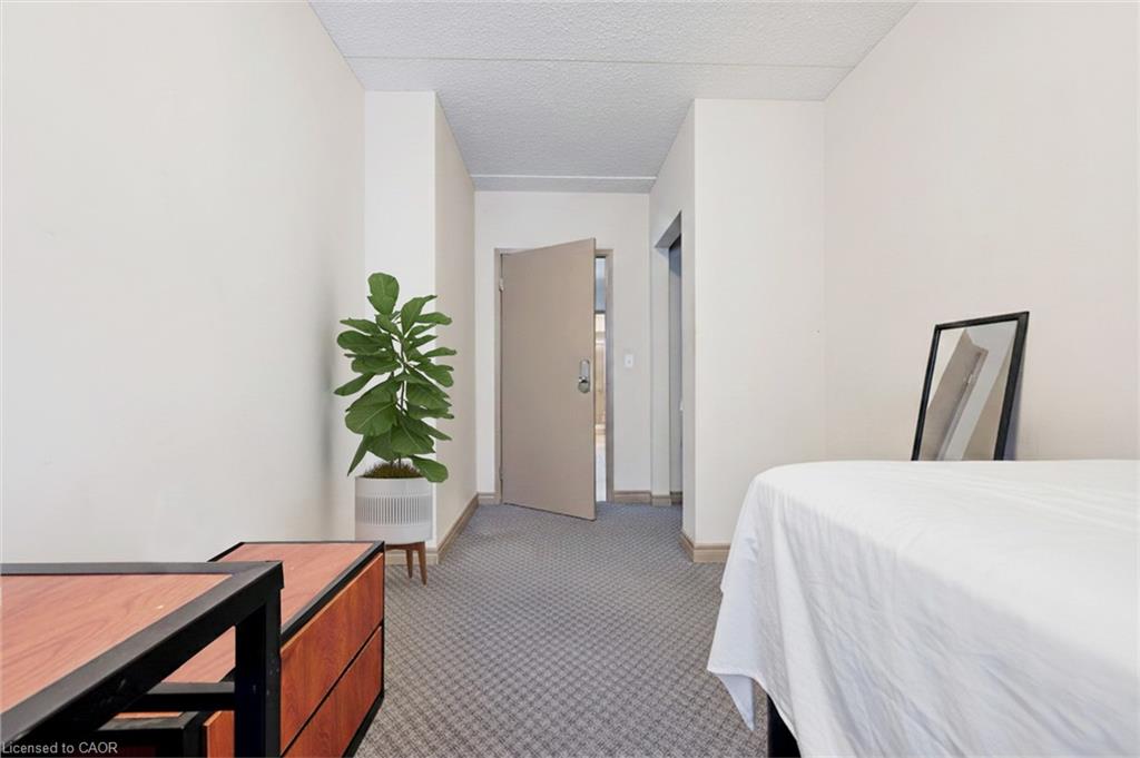 203-271 Lester Street Property Photo 17