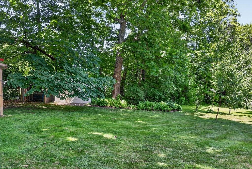403 Donald Campbell Avenue Property Photo 45