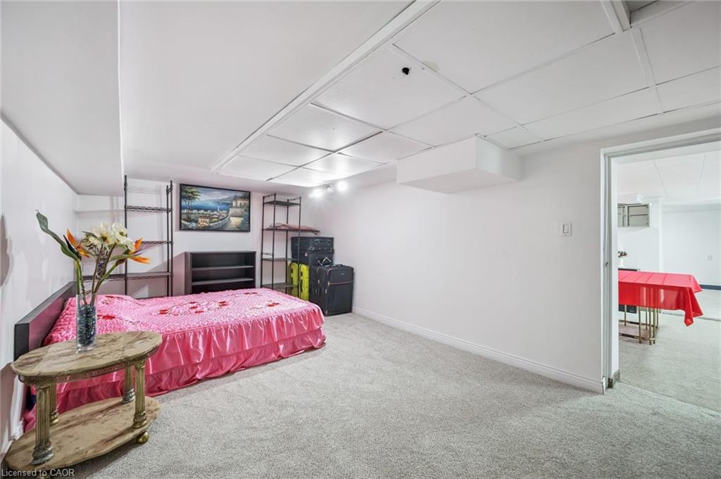 44 Walter Street Property Photo 35