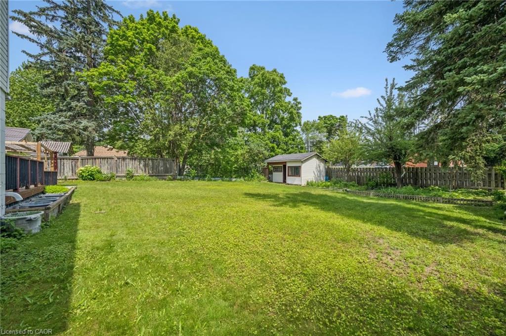 44 Walter Street Property Photo 40