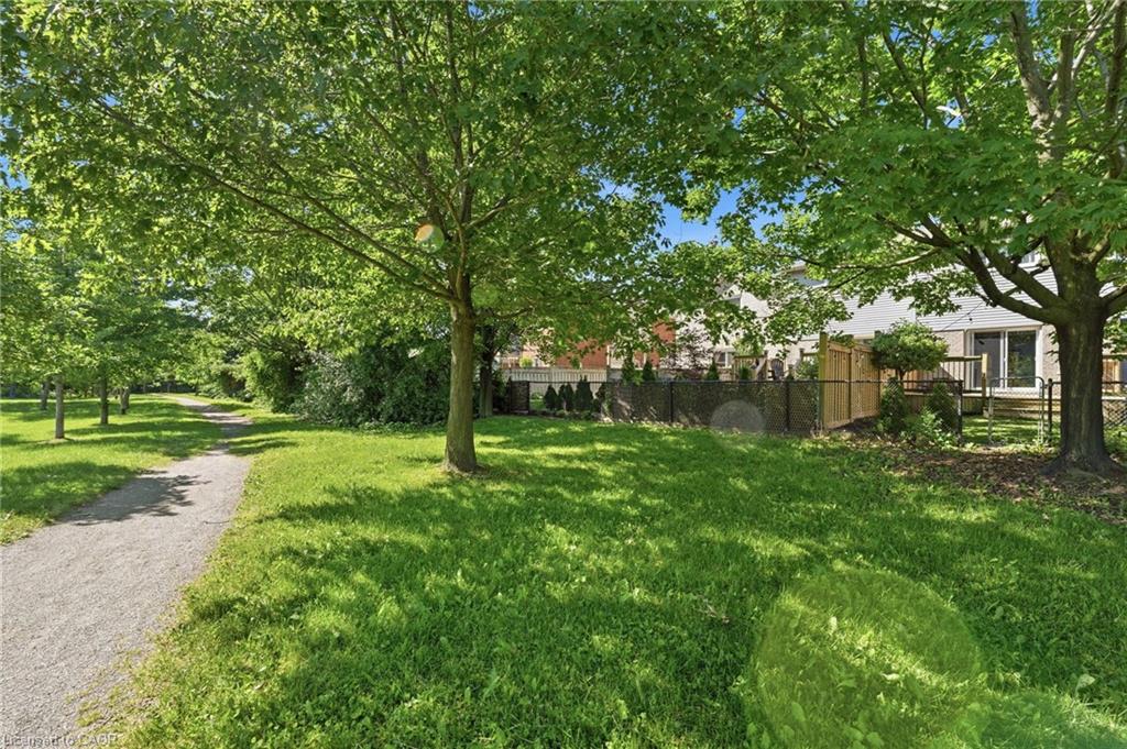 2445 Stefi Trail Property Photo 39