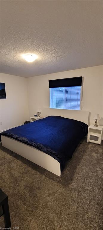 12 Mitchell Avenue Property Photo 21