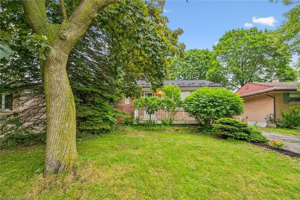 87 Cassino Avenue Property Photo 2