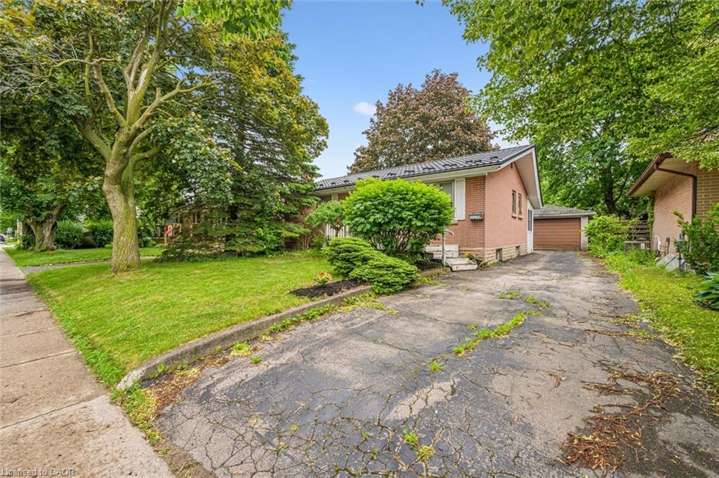 87 Cassino Avenue Property Photo 34