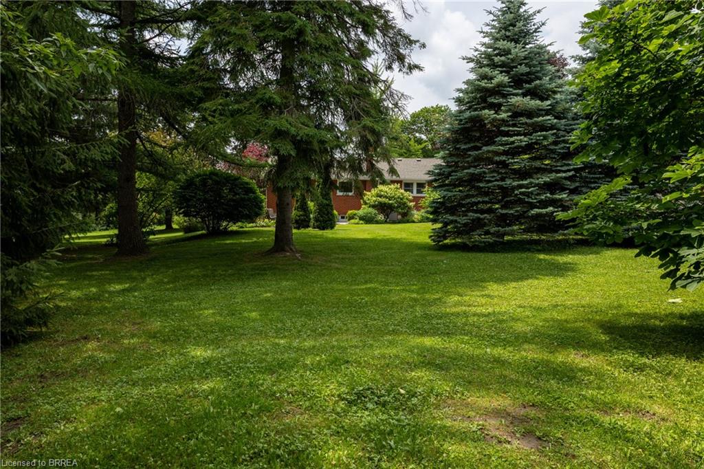 156 Mutual Street N Property Photo 5