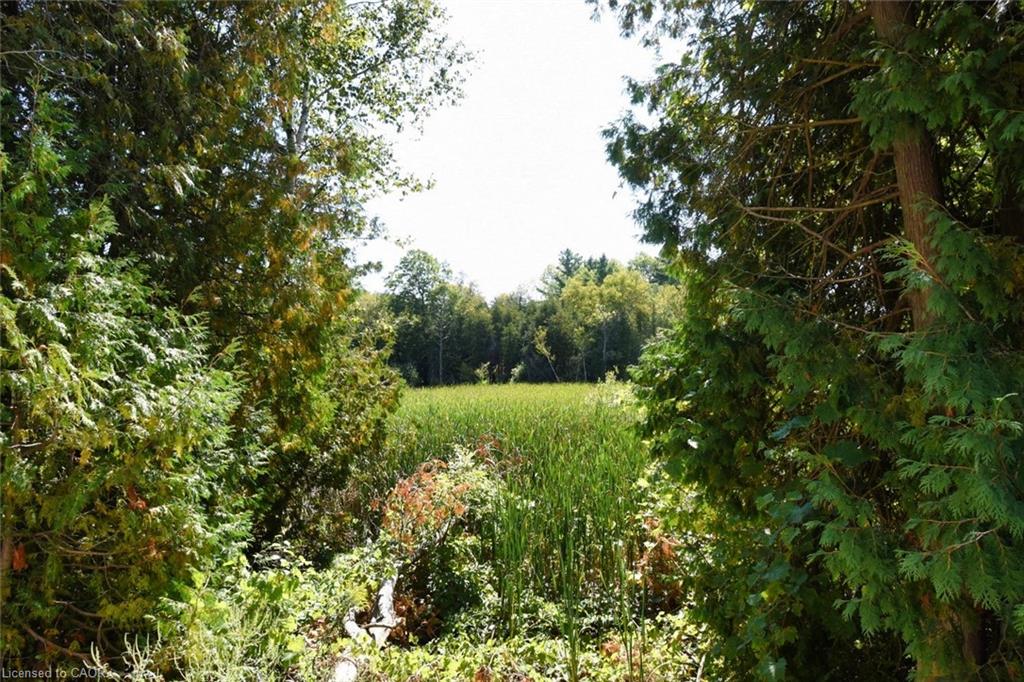 29-1085 10th Concession Road W Property Photo 18