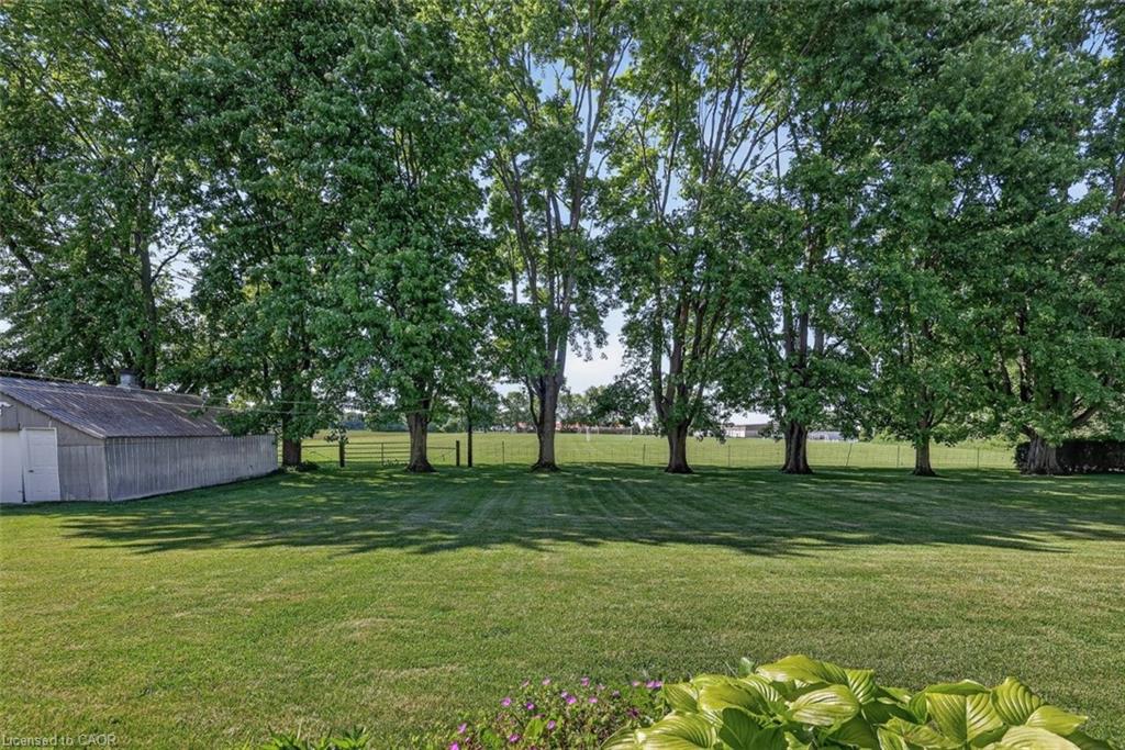 9 Commissioner Street Property Photo 41