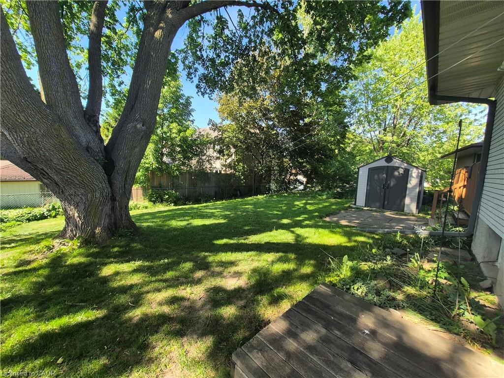 11 Duncairn Avenue Property Photo 27
