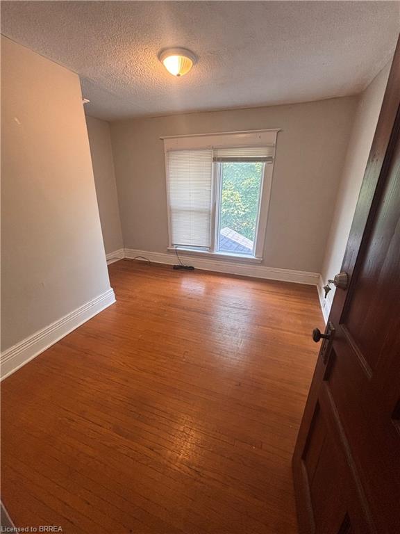 47 Grey Street Property Photo 9