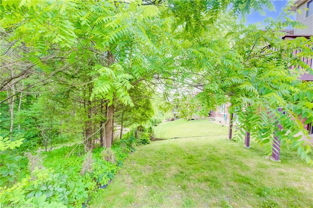 569 Violet Street Property Photo 29