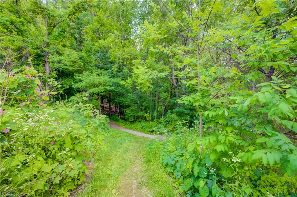 569 Violet Street Property Photo 30