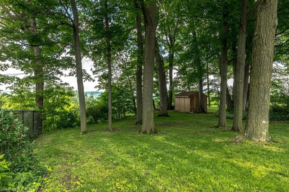 803 Montgomery Drive Property Photo 43