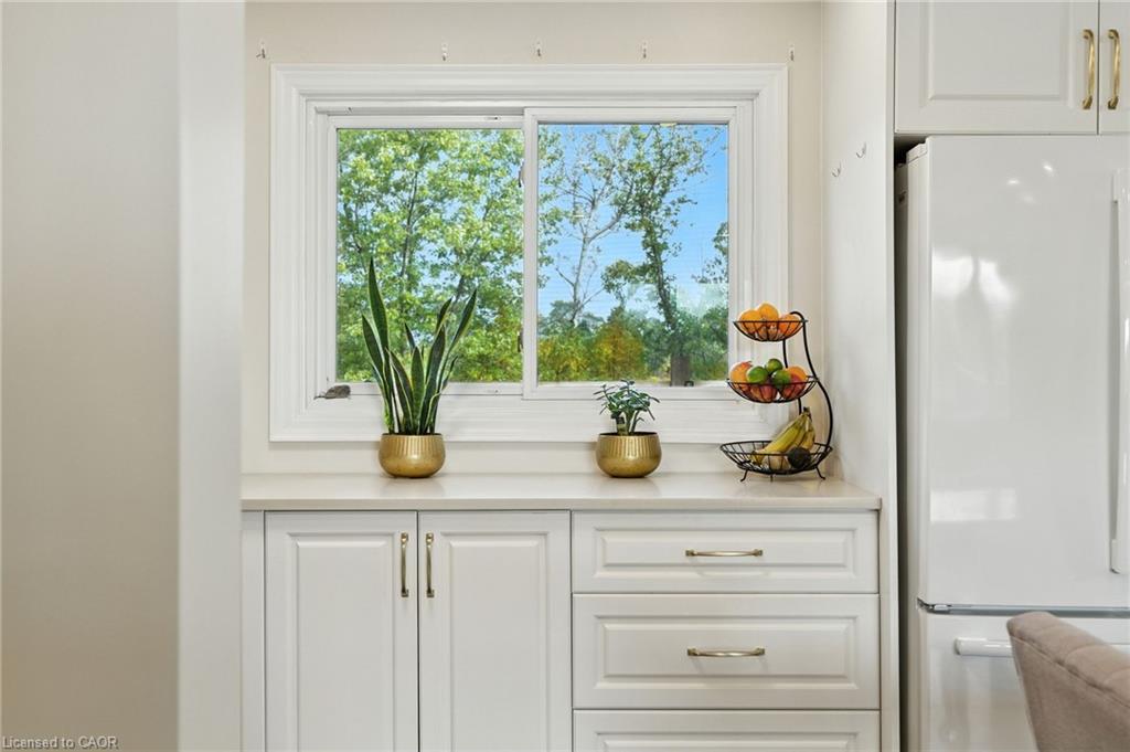 293 #20 Regional Road Property Photo 13
