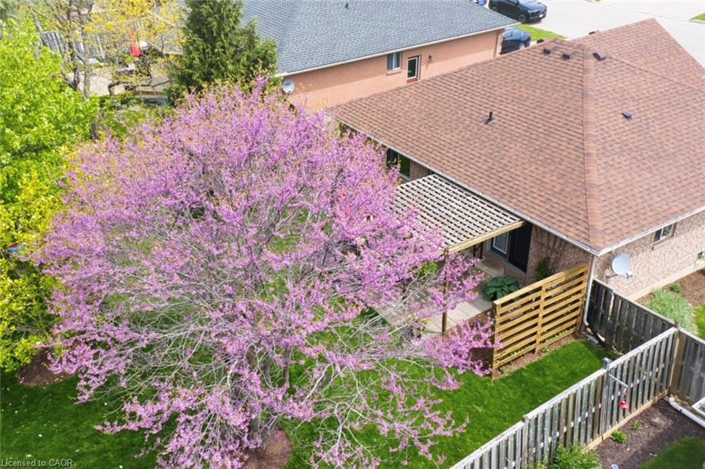 7 Spruce Grove Court Property Photo 37