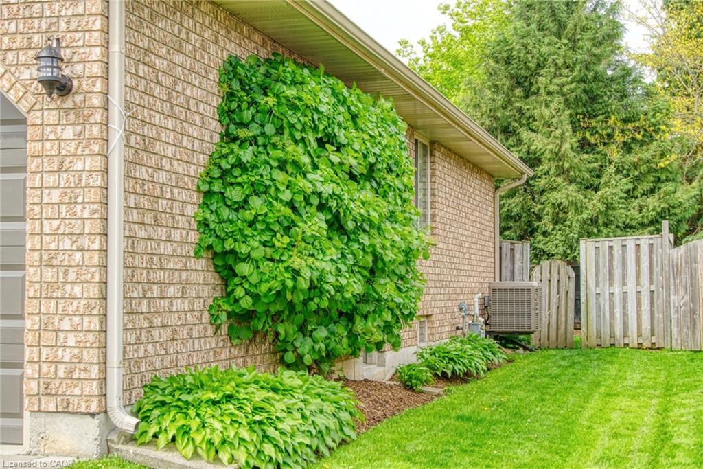 7 Spruce Grove Court Property Photo 38