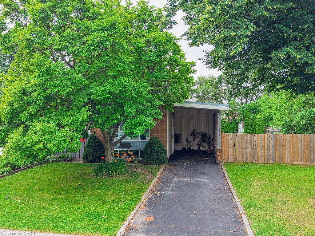 154 Luscombe Street Property Photo 3