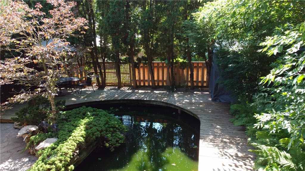 13 Kelly Avenue Property Photo 29