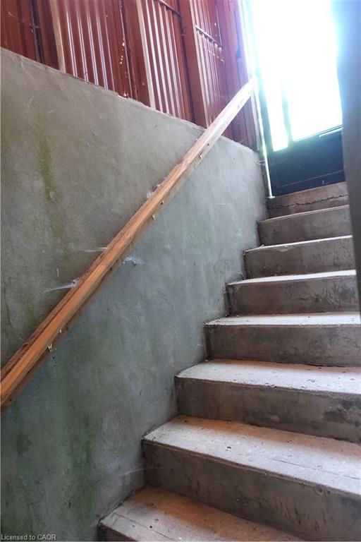 13 Kelly Avenue Property Photo 38