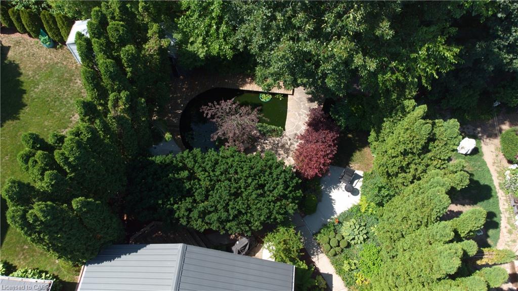 13 Kelly Avenue Property Photo 39