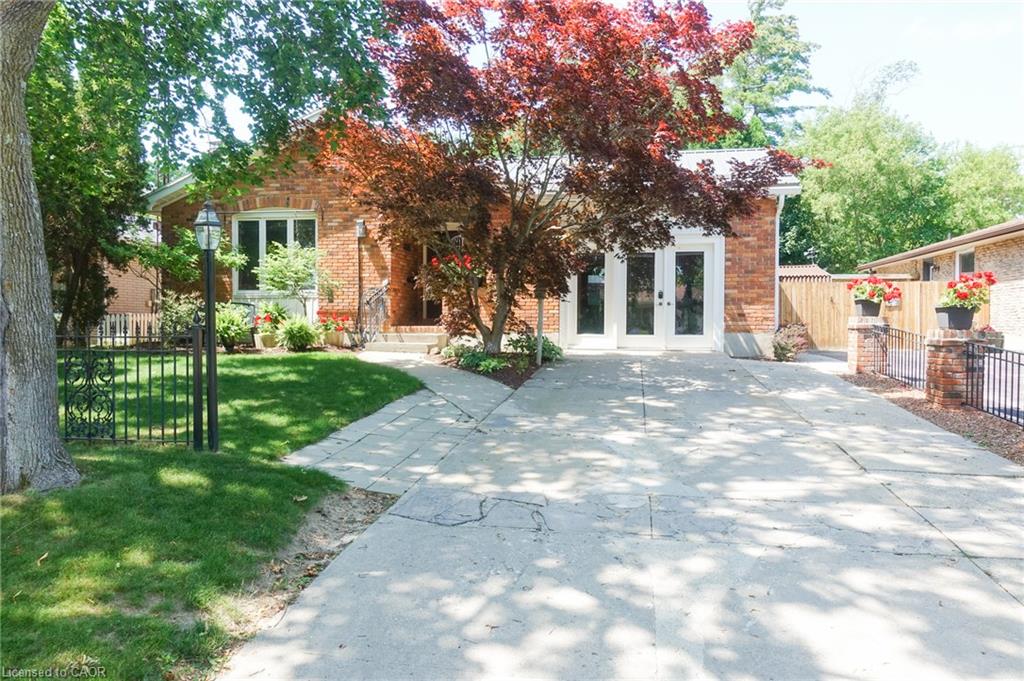 13 Kelly Avenue Property Photo 43