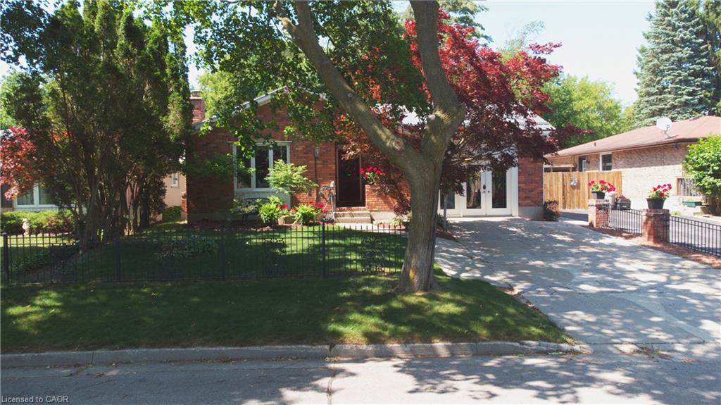 13 Kelly Avenue Property Photo 45