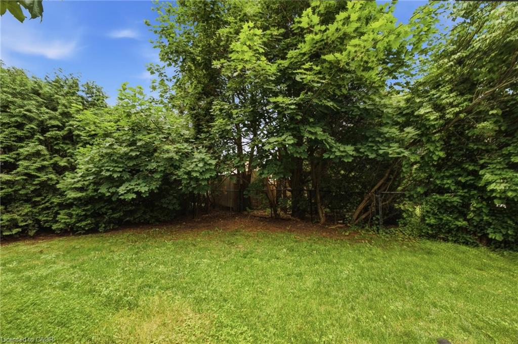 16 Carrington Court Property Photo 25