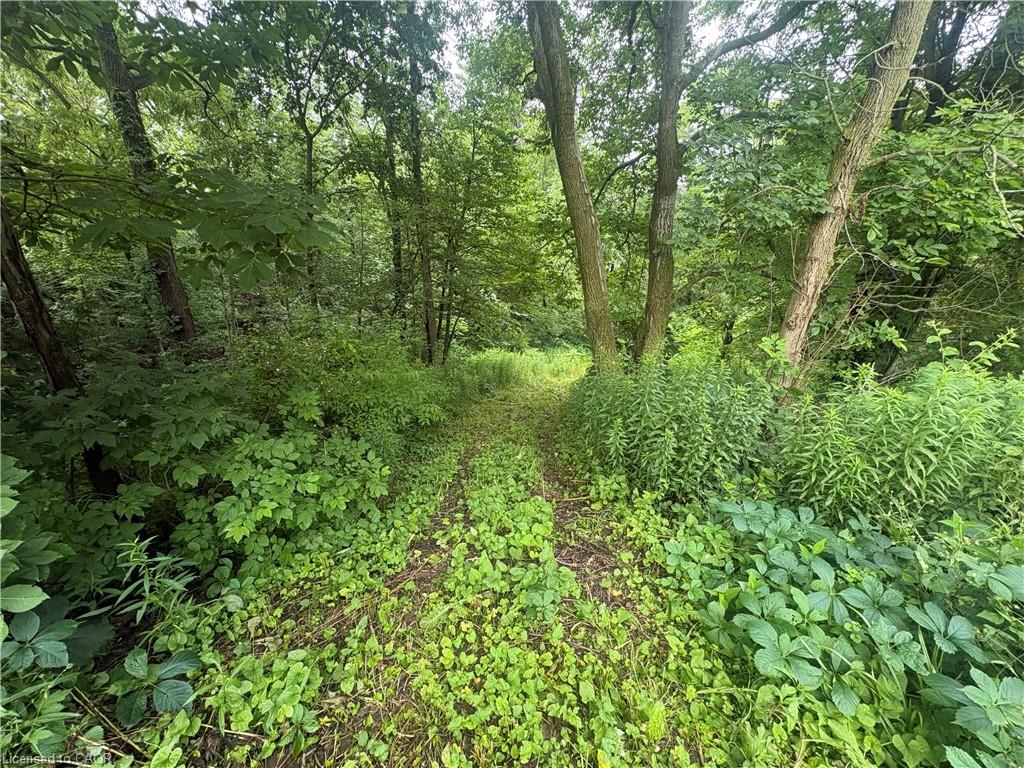 1629 Gregory Road Property Photo 8