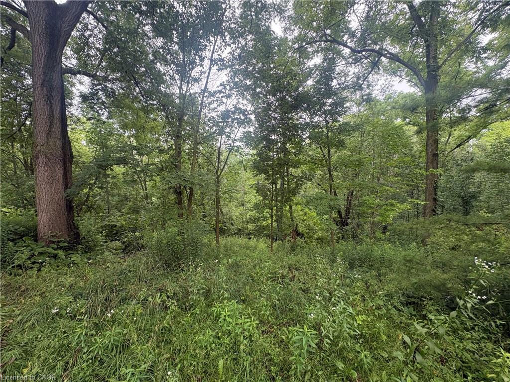 1629 Gregory Road Property Photo 12