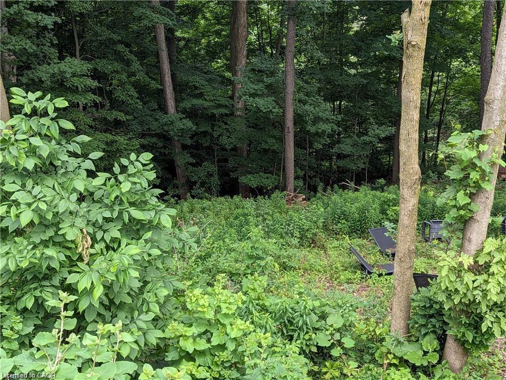 355 Edgehill Drive Property Photo 33