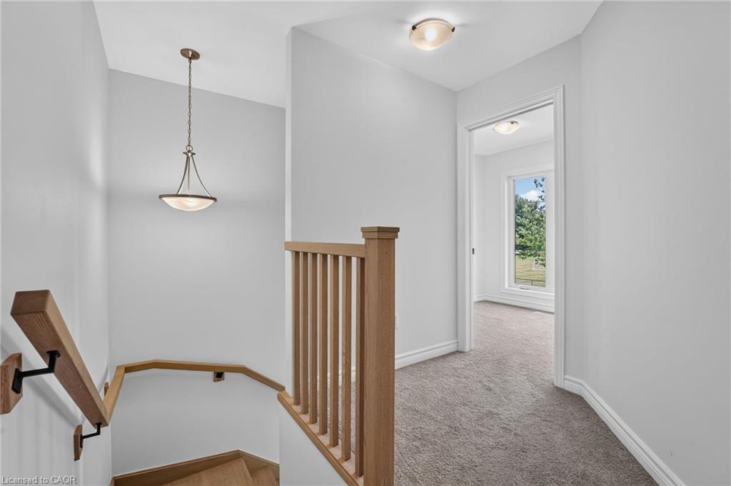 203 Park Street Property Photo 22