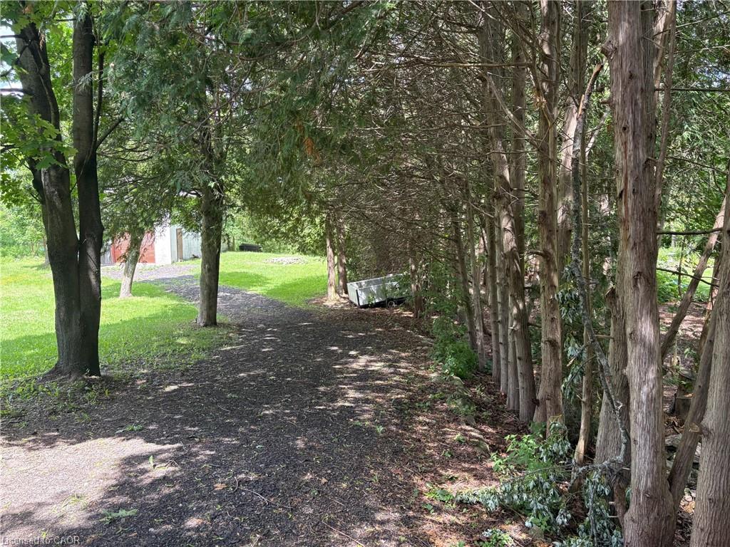 318 Freelton Road Property Photo 4
