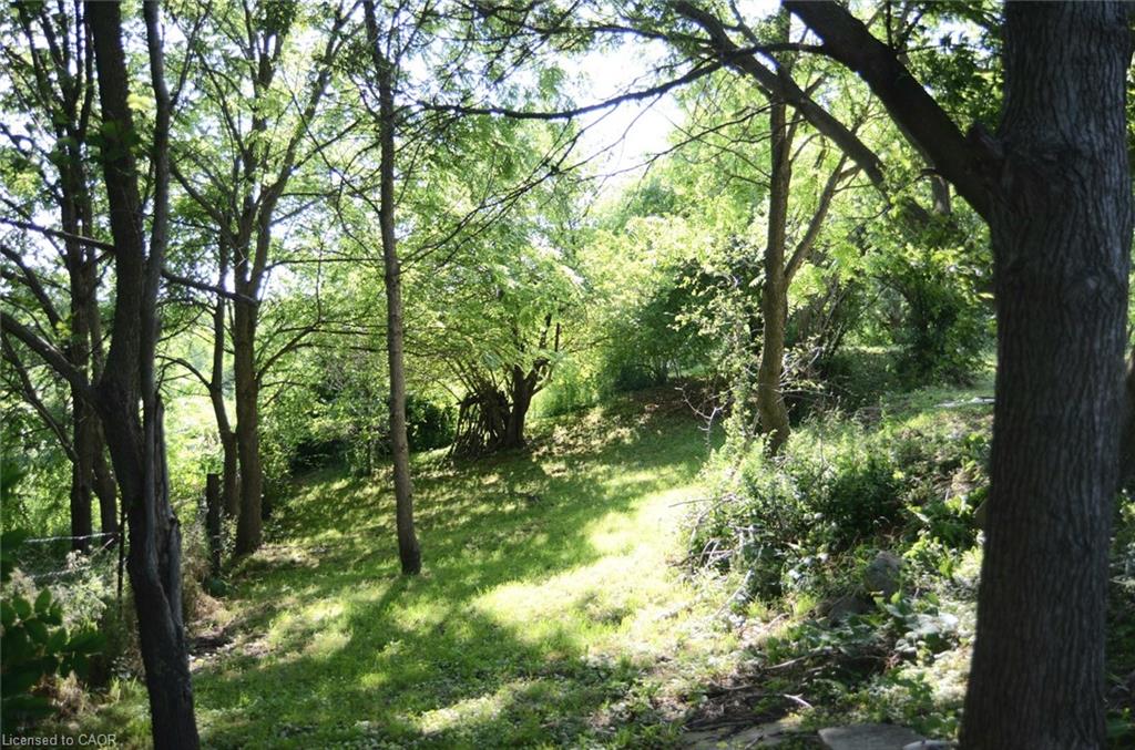 874 Concession 14 Townsend Property Photo 39