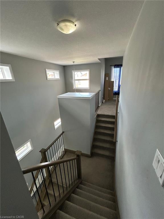 766 Freeport Street Property Photo 7