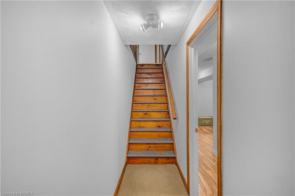 1 Scot Court Property Photo 18