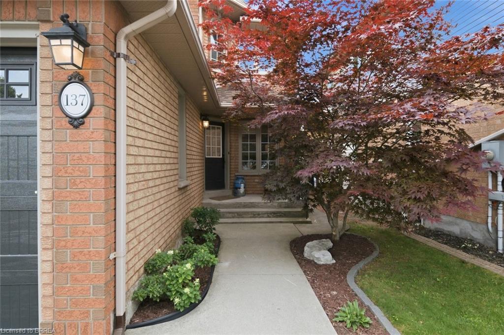 137 Chudleigh Street Property Photo 10