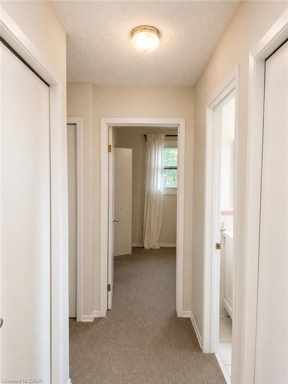 80 Maclennan Avenue Property Photo 37