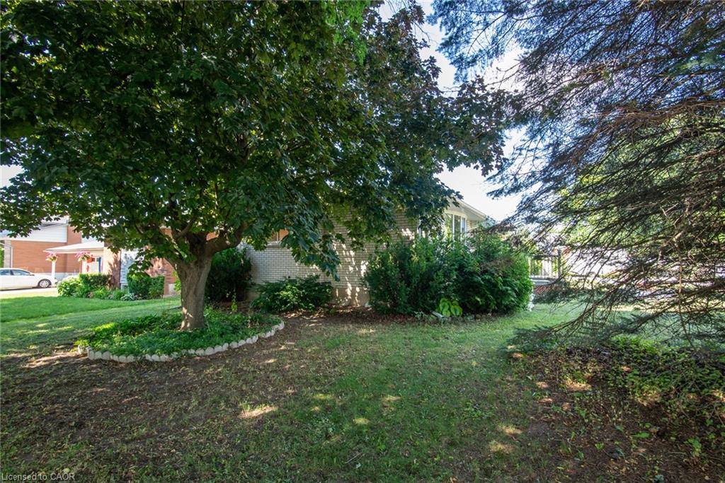 6 Strathcona Crescent Property Photo 6