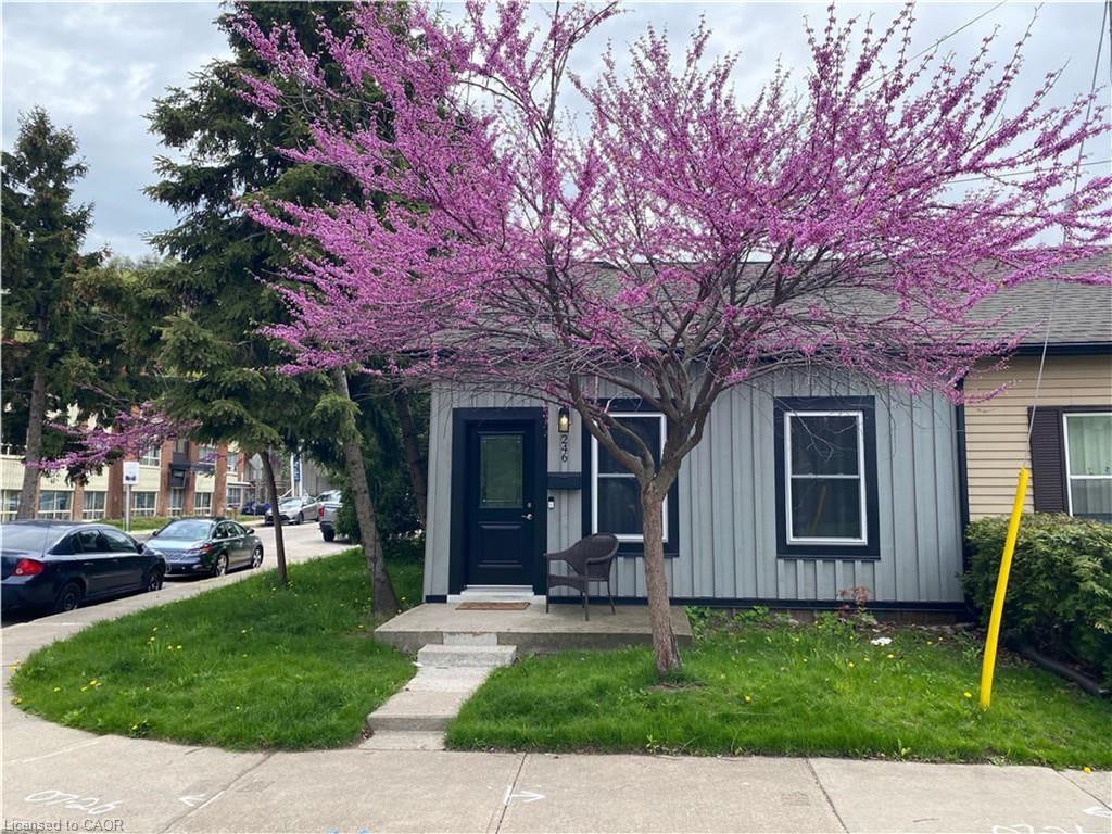 246 Forest Avenue Property Photo 1