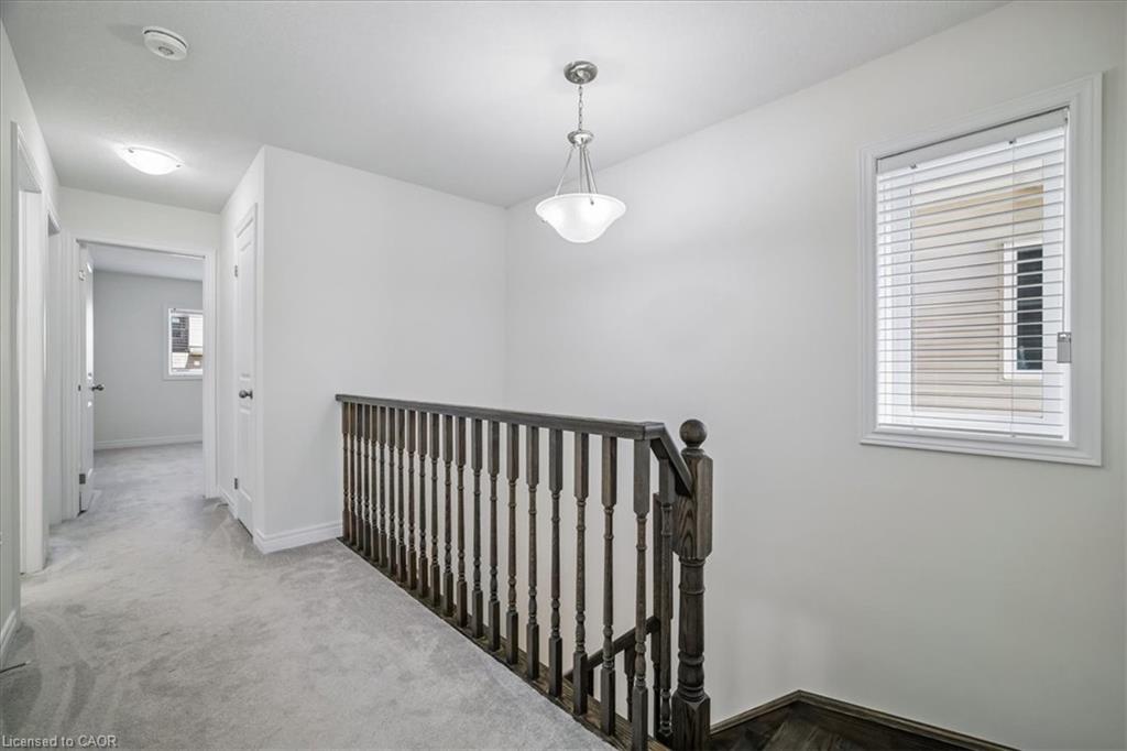 24 Cleland Avenue Property Photo 17