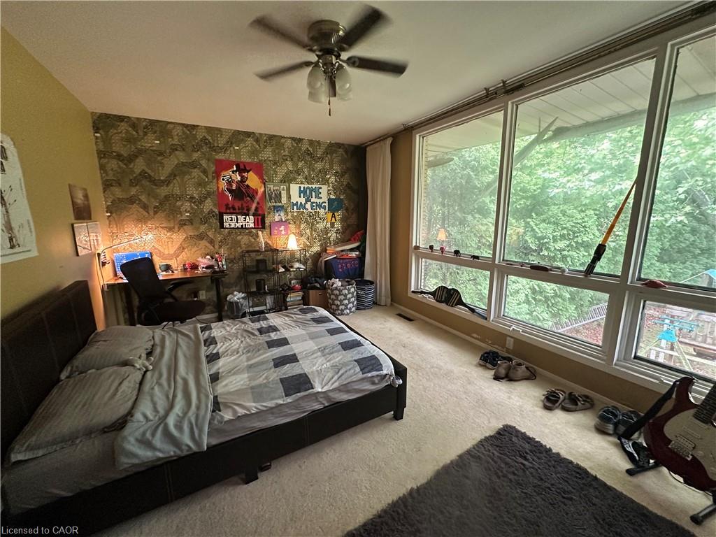 11 Wilmont Court Property Photo 18