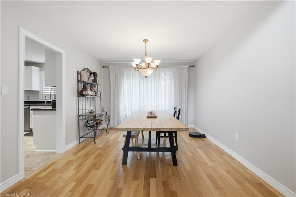 11 Maynard Street Property Photo 5